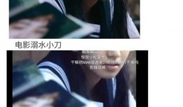 娱乐圈吃瓜爽文小说推荐,从吃瓜小白到瓜王逆袭之路