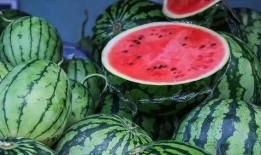 西瓜条爆料博主视频,揭秘博主视频背后的故事