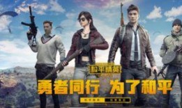 和平精英新马皮肤爆料最新多少钱,和平精英热门皮肤价格再创新高！